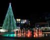 Hamilton's christmas tree in Garden Place